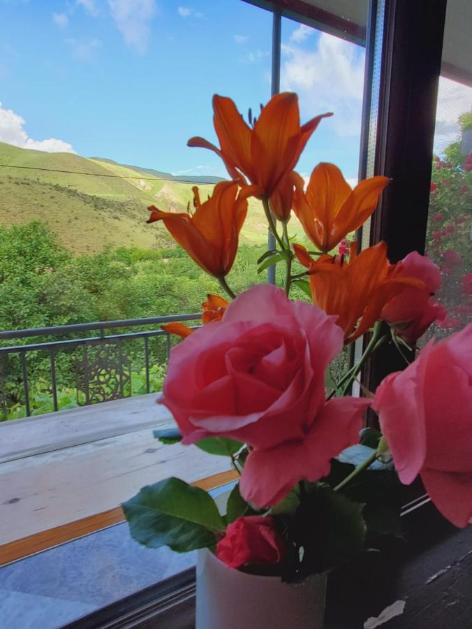 Guesthouse Mtkvari Nakalakevi Eksteriør bilde