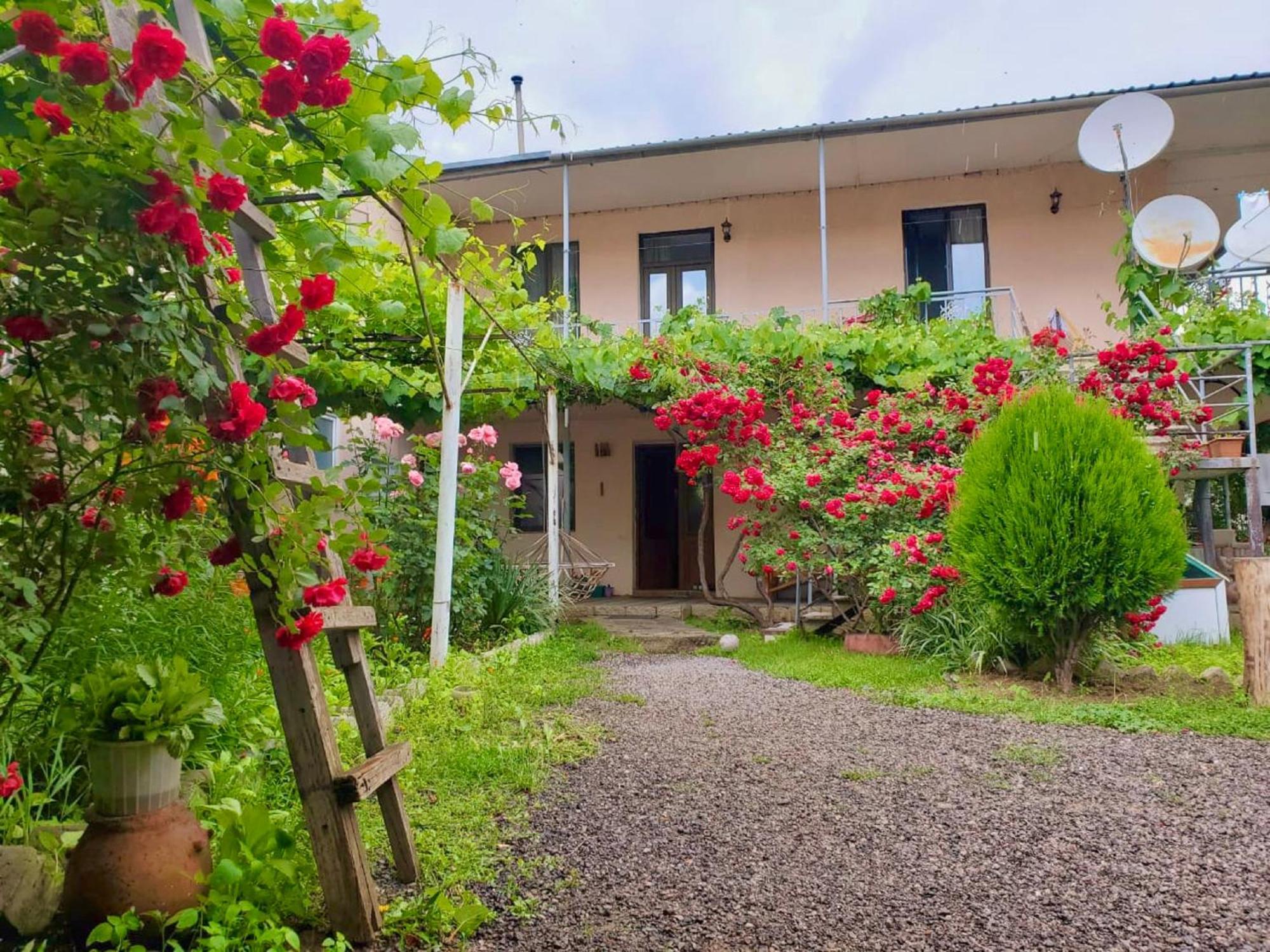 Guesthouse Mtkvari Nakalakevi Eksteriør bilde